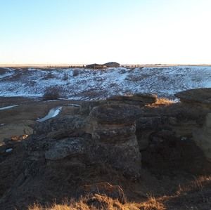 Meet your Posher, Rob